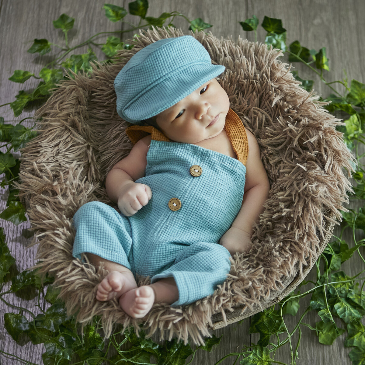 Newborn Portrait Klang | Baby Photography Klang | Baby Photography Klang | Professional Photography Service Klang