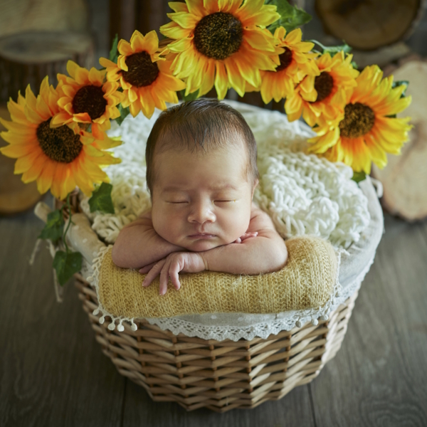 Newborn Portrait Klang | Baby Photography Klang | Baby Photography Klang | Professional Photography Service Klang